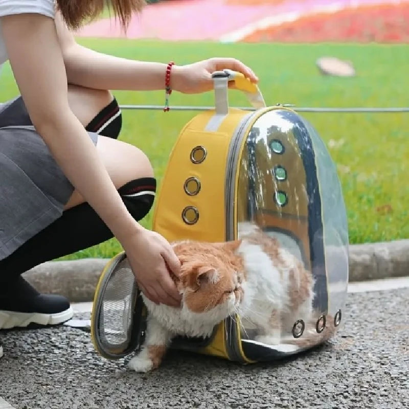 Mochila Transparente e Respirável para Viagem de Animais de Estimação